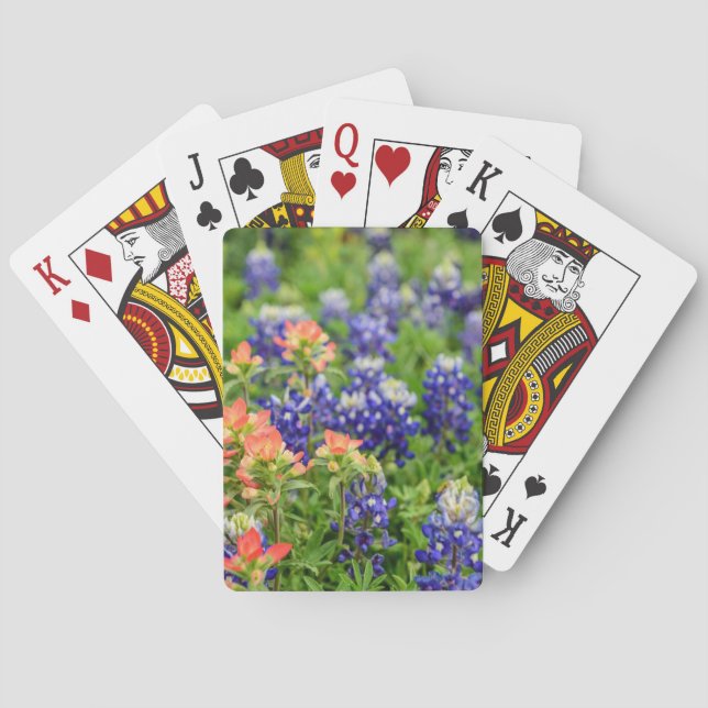 Bluebonnets & Indian paintbrush Texas wildflowers Poker Cards (Back)