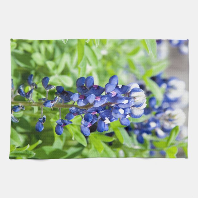 Bluebonnets Kitchen Towel (Horizontal)