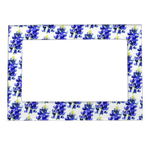 Bluebonnets Magnetic Frame