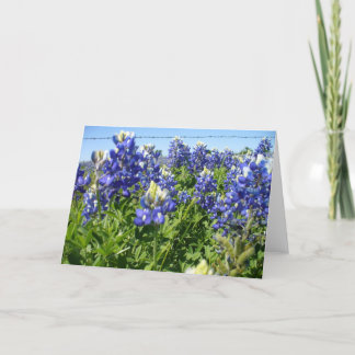 Bluebonnets Notecard