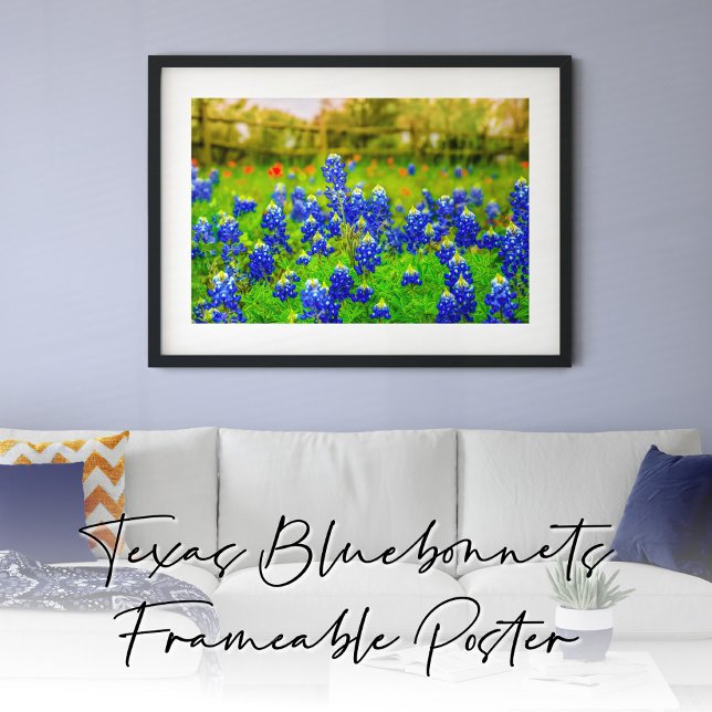 Bluebonnets of Texas Rustic Blue Wildflowers Poster (Texas Bluebonnets Frameable Poster)