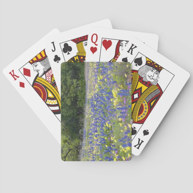 Bluebonnets, primrose, and phlox poker cards (Back)