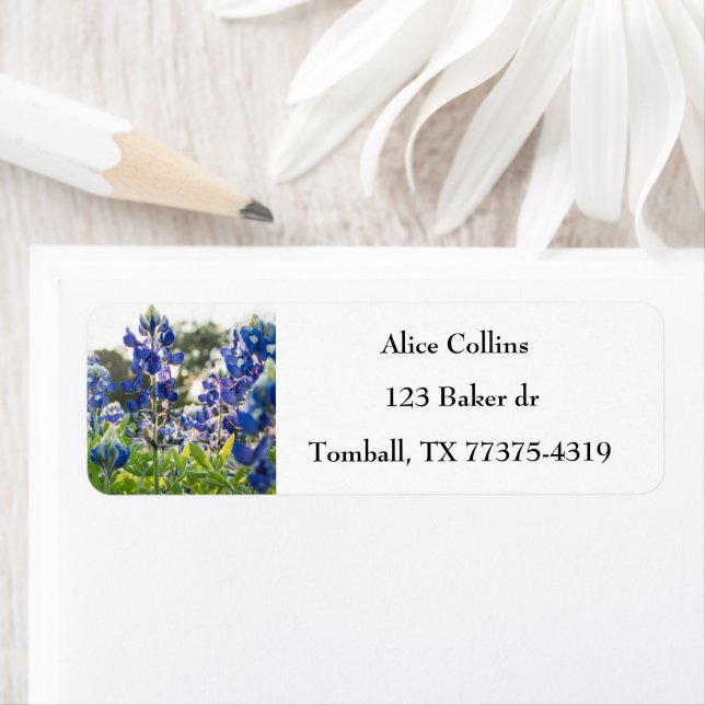 Bluebonnets Texas State Flowers Lupine  Label (Insitu)