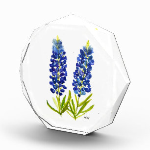Bluebonnets Texas State Flowers Lupine Watercolor Acrylic Award