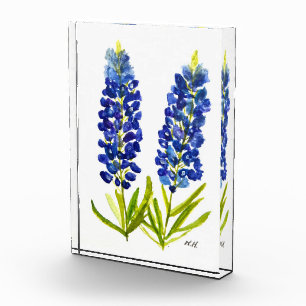 Bluebonnets Texas State Flowers Lupine Watercolor Acrylic Award
