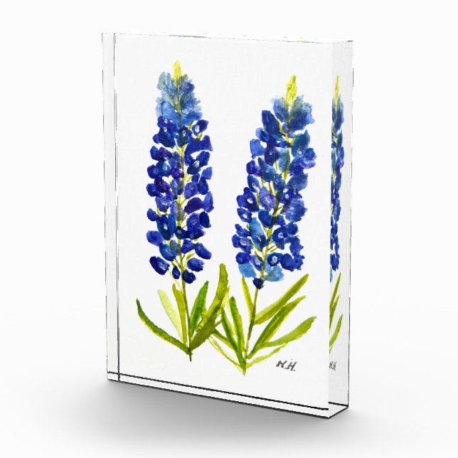 Bluebonnets Texas State Flowers Lupine Watercolor Acrylic Award (Right)