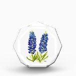Bluebonnets Texas State Flowers Lupine Watercolor Acrylic Award<br><div class="desc">Bluebonnets flowers,  texan floral design. Beautiful Blue flowers illustration. Texas State. Bluebonnets acrylic award.</div>