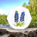 Bluebonnets Texas State Flowers Lupine Watercolor Acrylic Award<br><div class="desc">Bluebonnets flowers,  texan floral design. Beautiful Blue flowers illustration. Texas State. Bluebonnets acrylic award.</div>