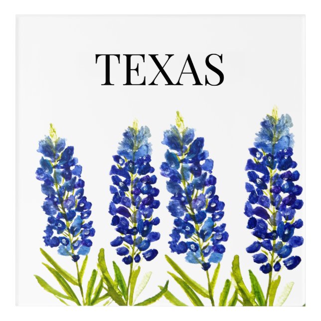 Bluebonnets Texas State Flowers Lupine Watercolor  Acrylic Print (Front)