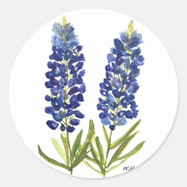 Bluebonnets Texas State Flowers Lupine Watercolor Classic Round Sticker (Front)