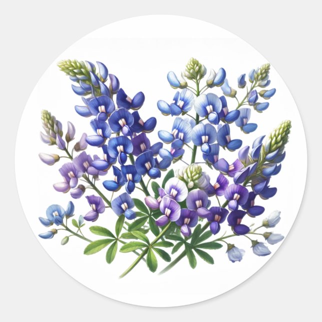 Bluebonnets Texas State Flowers Lupine Watercolor Classic Round Sticker (Front)