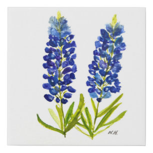 Bluebonnets Texas State Flowers Lupine Watercolor Faux Canvas Print