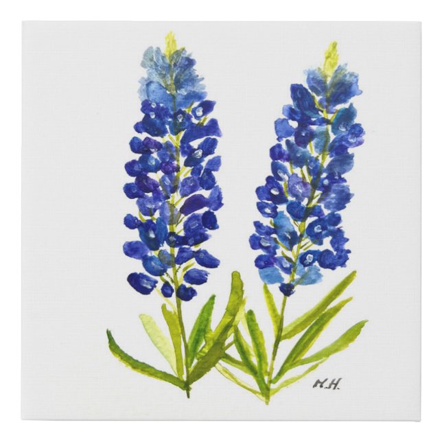 Bluebonnets Texas State Flowers Lupine Watercolor  Faux Canvas Print (Front)