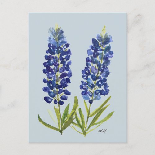 Bluebonnets Texas State Flowers Lupine Watercolor  Postcard