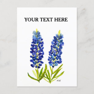 Bluebonnets Texas State Flowers Lupine Watercolor  Postcard
