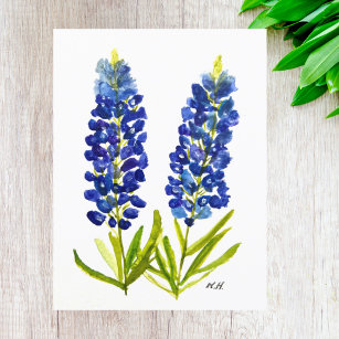 Bluebonnets Texas State Flowers Lupine Watercolor  Postcard