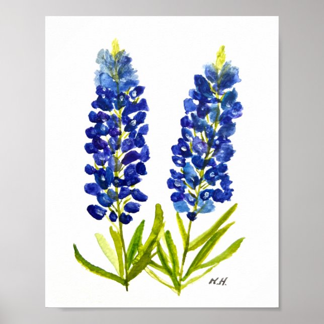 Bluebonnets Texas State Flowers Lupine Watercolor Poster (Front)