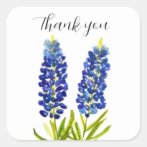 Bluebonnets Texas State Flowers Lupine Watercolor Square Sticker