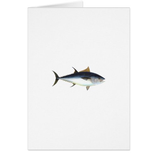 Bluefin Tuna