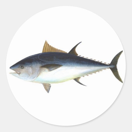 Bluefin Tuna Classic Round Sticker