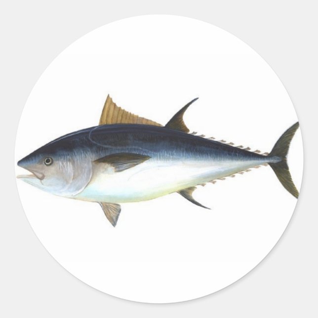 Bluefin Tuna Classic Round Sticker (Front)