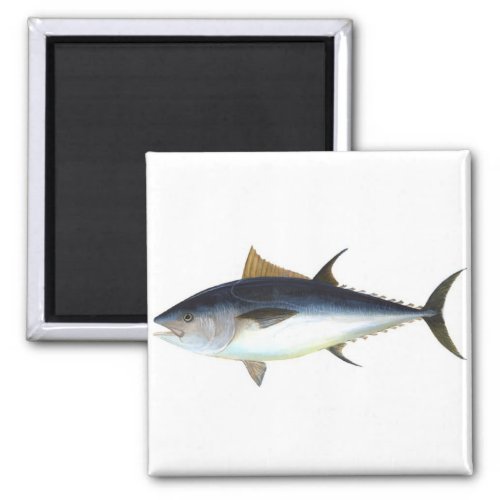 Bluefin Tuna illustration Magnet