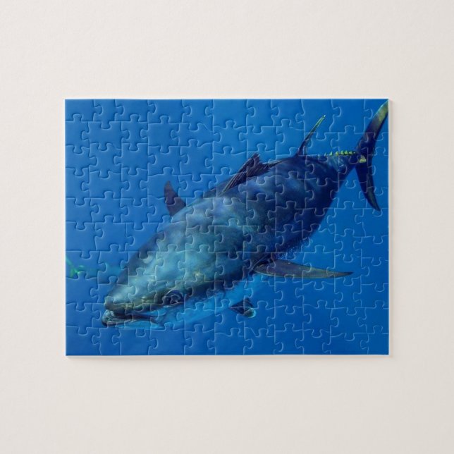 Bluefin Tuna Jigsaw Puzzle (Horizontal)