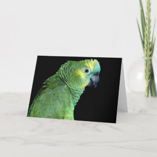 Bluefront Amazon Parrot Notecard