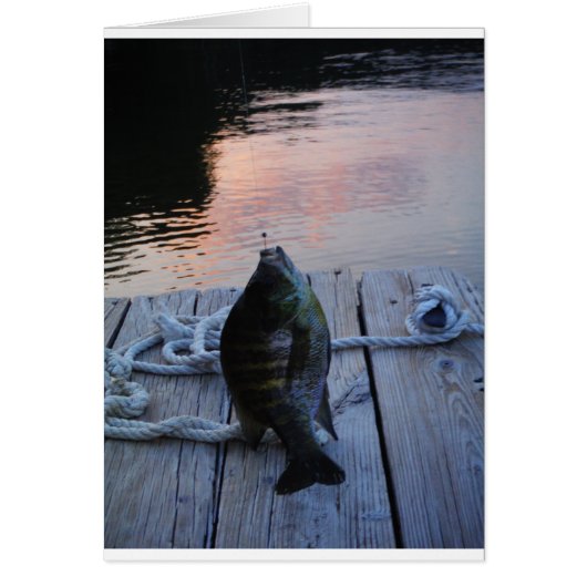 Bluegill at sunset Lake Arrowhead Cards (Front)