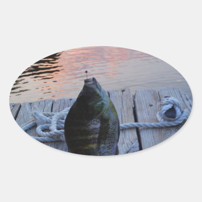 Bluegill at sunset Lake Arrowhead Oval Sticker (Front)