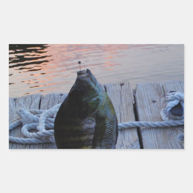 Bluegill at sunset Lake Arrowhead Rectangular Sticker (Front)