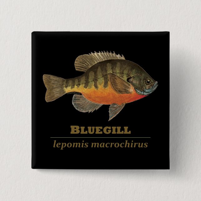 Bluegill Bream Fishing Button (Front)