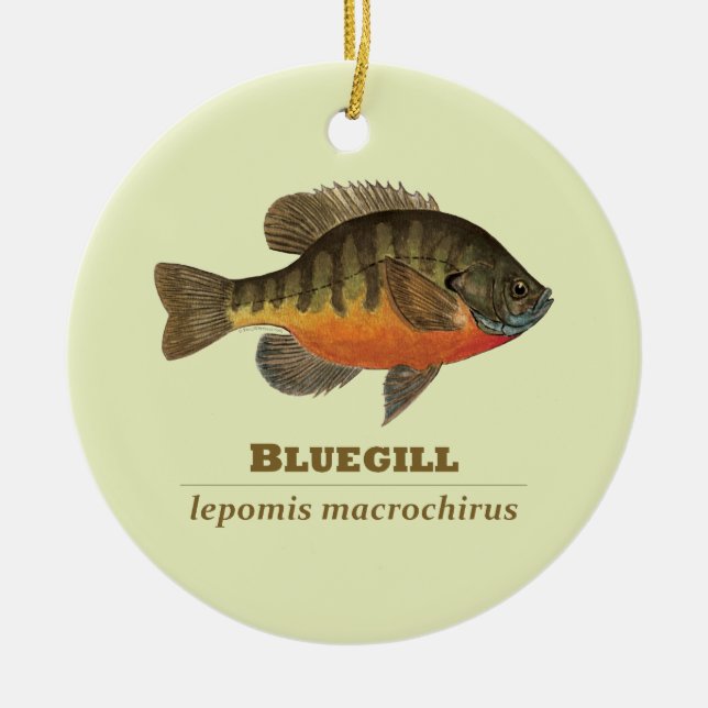 Bluegill Bream Fishing Ceramic Ornament (Front)