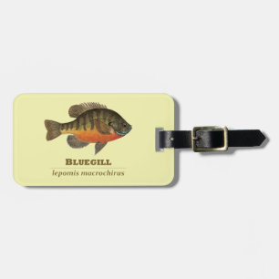 Bluegill Bream Fishing Luggage Tag