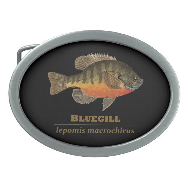Bluegill Bream Fishing Oval Belt Buckle (Front)