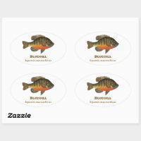 Bluegill Bream Fishing Oval Sticker