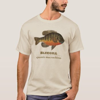 Bluegill Bream Fishing T-shirt by TroutWhiskers at Zazzle