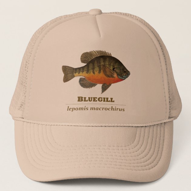 Bluegill Bream Fishing Trucker Hat 