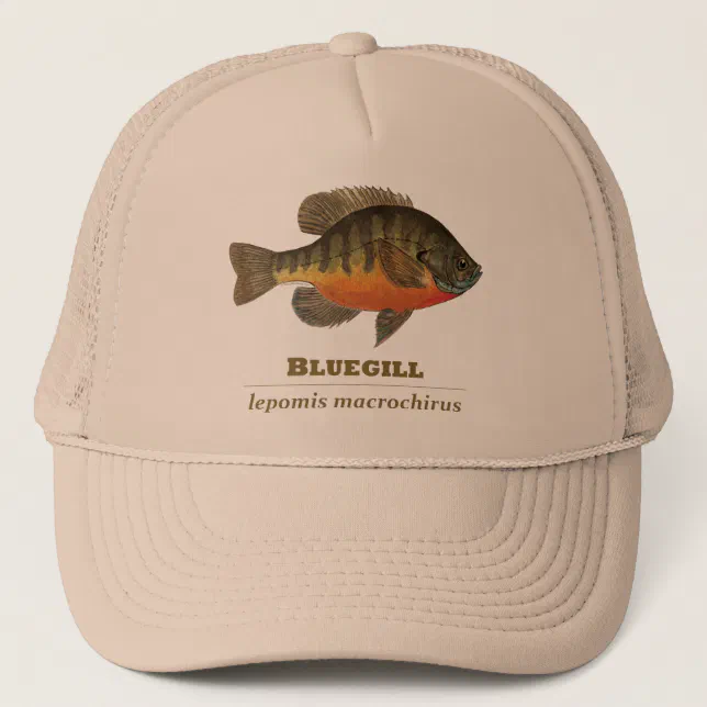 Bluegill Bream Fishing Trucker Hat Zazzle