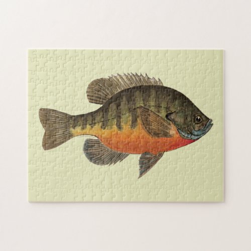 Bluegill Bream Jigsaw Puzzle