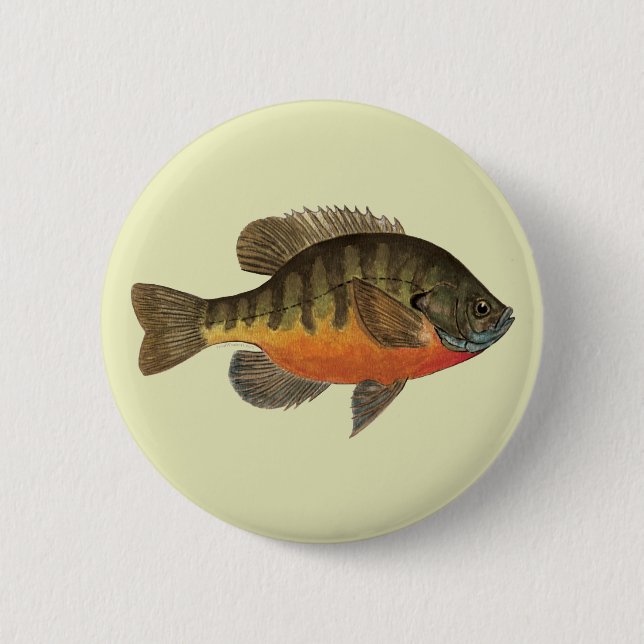Bluegill Bream Pinback Button (Front)