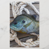 Bluegill fish on dock and rope (Front)