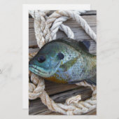 Bluegill fish on dock and rope (Front/Back)