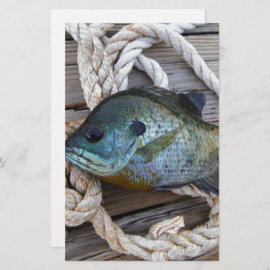 Bluegill fish on dock and rope (Front/Back)