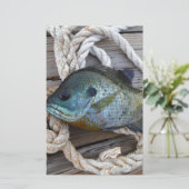 Bluegill fish on dock and rope (Standing Front)