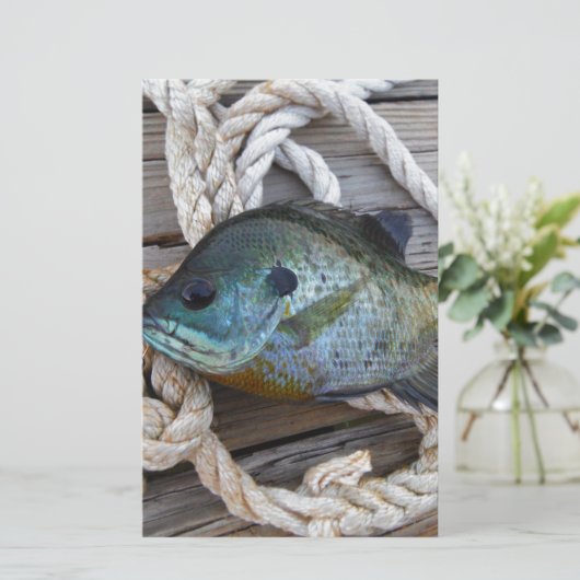 Bluegill fish on dock and rope (Standing Front)