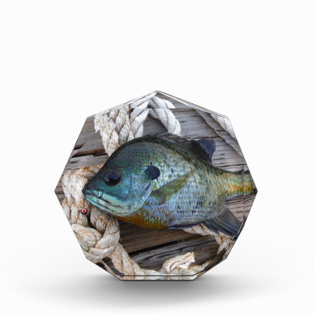 Bluegill fish on dock and rope award (Front)