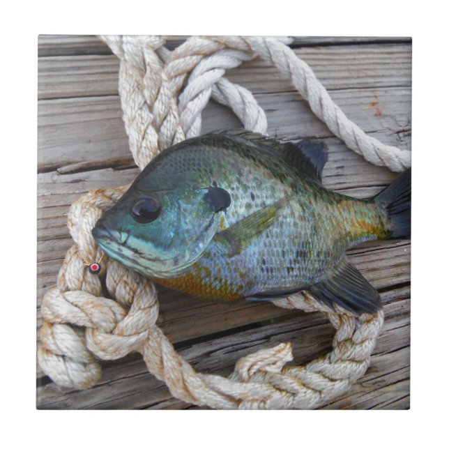 Bluegill fish on dock and rope ceramic tile (Front)