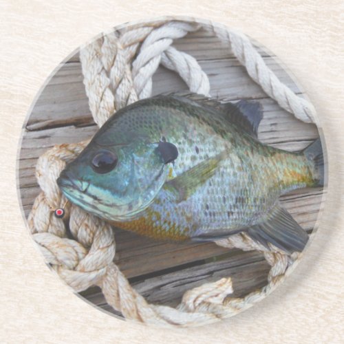 Bluegill fish on dock and rope sandstone coaster