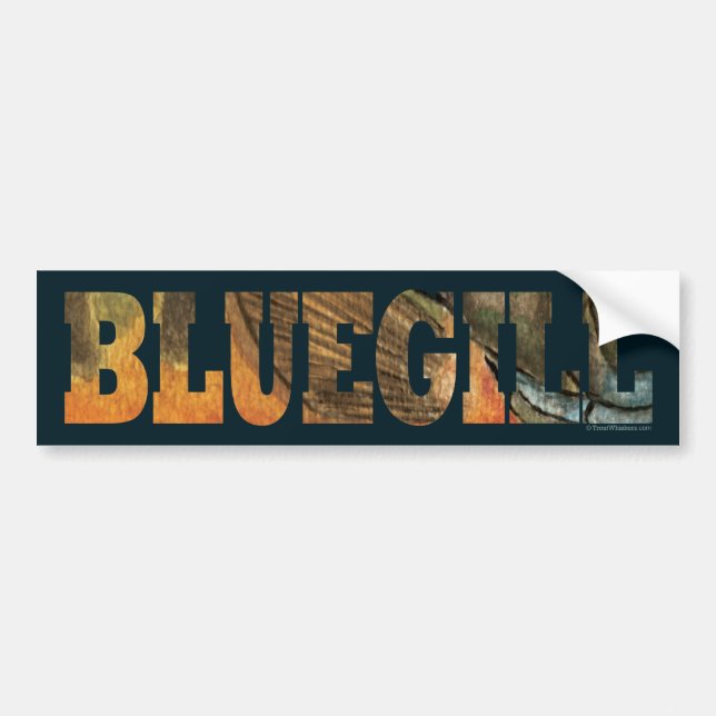 Bluegill Fishing Bumper Sticker (Front)